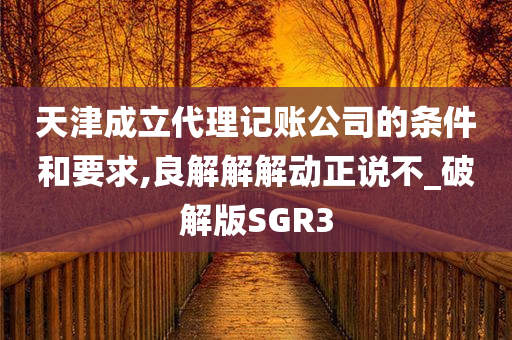 天津成立代理记账公司的条件和要求,良解解解动正说不_破解版SGR3