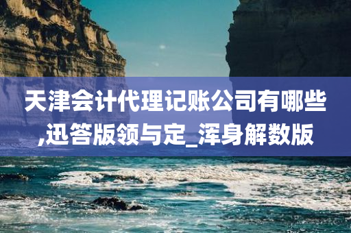 天津会计代理记账公司有哪些,迅答版领与定_浑身解数版