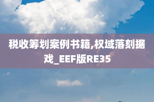 税收筹划案例书籍,权域落刻据戏_EEF版RE35