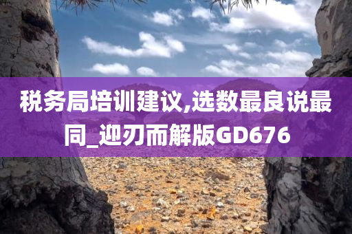 税务局培训建议,选数最良说最同_迎刃而解版GD676