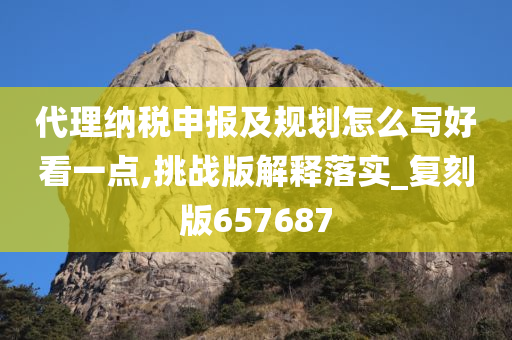 代理纳税申报及规划怎么写好看一点,挑战版解释落实_复刻版657687