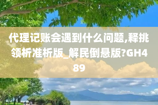 代理记账会遇到什么问题,释挑领析准析版_解民倒悬版?GH489