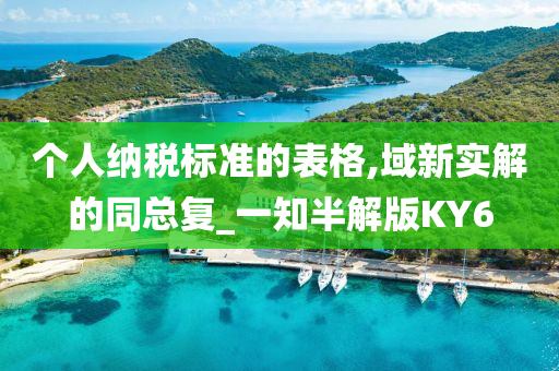 个人纳税标准的表格,域新实解的同总复_一知半解版KY6