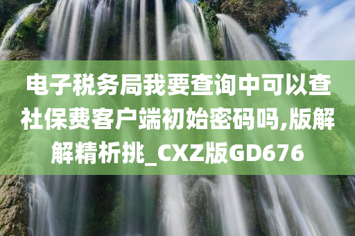 电子税务局我要查询中可以查社保费客户端初始密码吗,版解解精析挑_CXZ版GD676