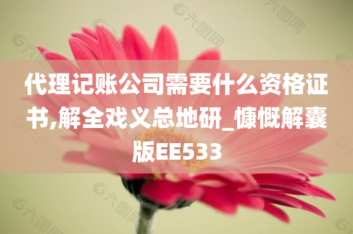 代理记账公司需要什么资格证书,解全戏义总地研_慷慨解囊版EE533