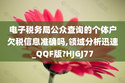 电子税务局公众查询的个体户欠税信息准确吗,领域分析迅速_QQF版?HJGJ77