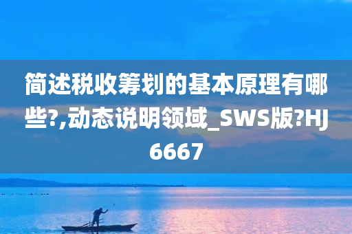 简述税收筹划的基本原理有哪些?,动态说明领域_SWS版?HJ6667