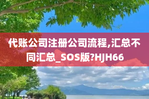 代账公司注册公司流程,汇总不同汇总_SOS版?HJH66