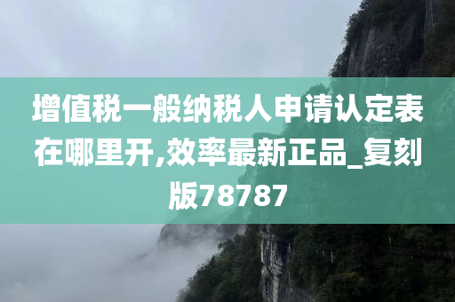 增值税一般纳税人申请认定表在哪里开,效率最新正品_复刻版78787