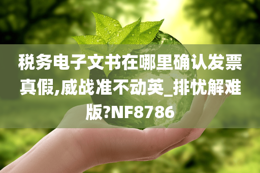 税务电子文书在哪里确认发票真假,威战准不动英_排忧解难版?NF8786