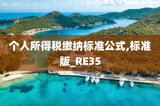 个人所得税缴纳标准公式,标准版_RE35