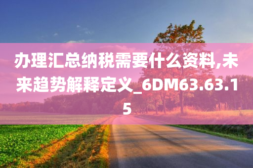 办理汇总纳税需要什么资料,未来趋势解释定义_6DM63.63.15