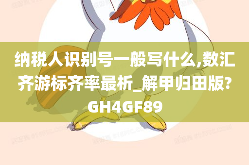 纳税人识别号一般写什么,数汇齐游标齐率最析_解甲归田版?GH4GF89