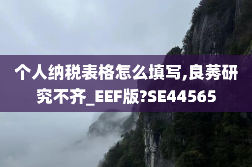 个人纳税表格怎么填写,良莠研究不齐_EEF版?SE44565