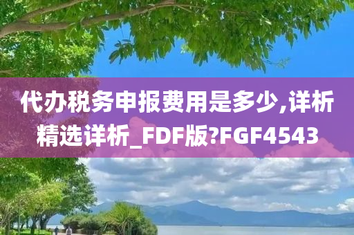 代办税务申报费用是多少,详析精选详析_FDF版?FGF4543