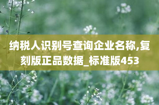 纳税人识别号查询企业名称,复刻版正品数据_标准版453