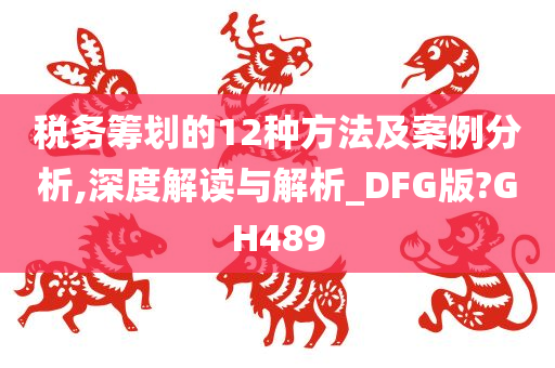 税务筹划的12种方法及案例分析,深度解读与解析_DFG版?GH489