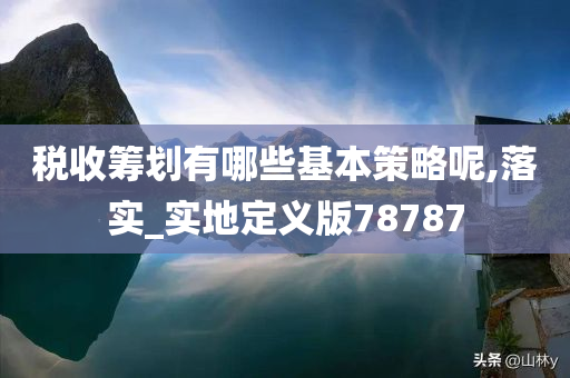 税收筹划有哪些基本策略呢,落实_实地定义版78787